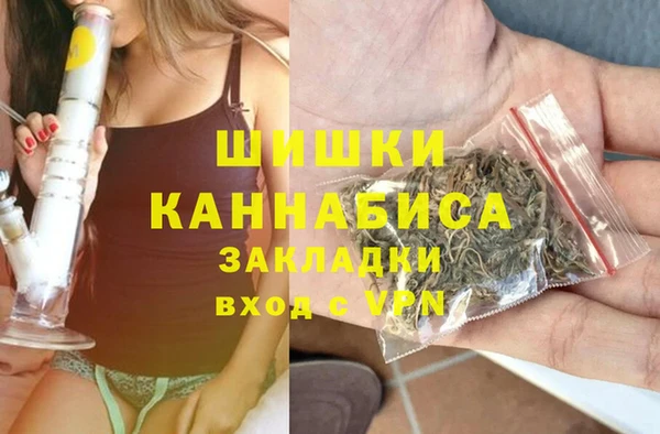 ECSTASY Богородицк